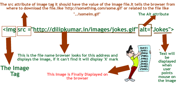 Image
Tag